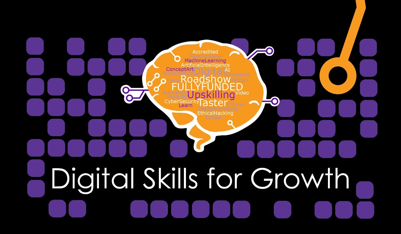 Digital Skills for Growth picture
