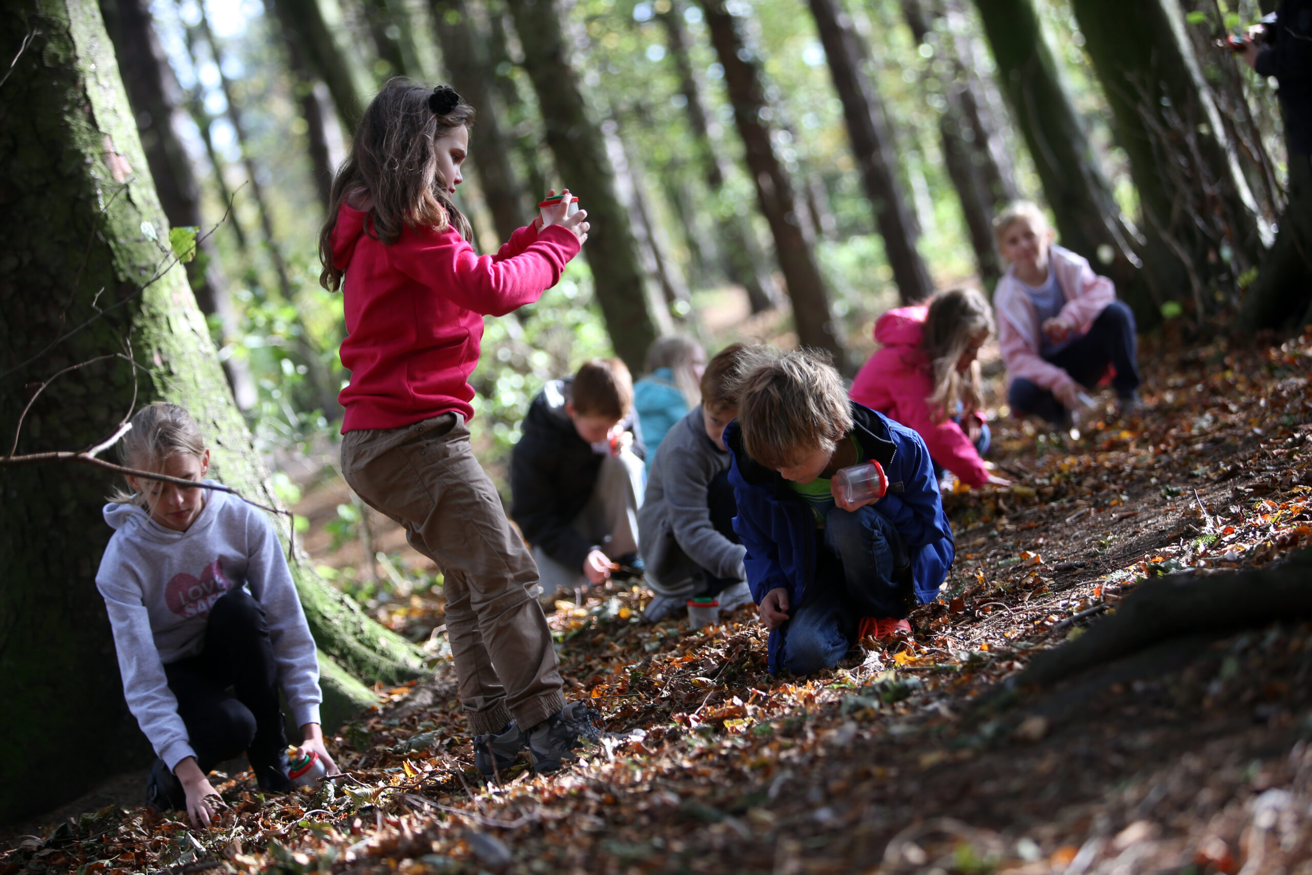 Children playing and learning in wooded area