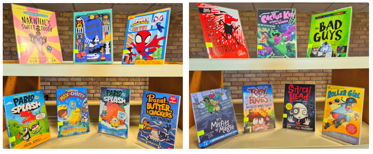 A picture of the graphic novel books that are available to schools